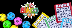 Bingo CARPS Gambling Master Mind Review